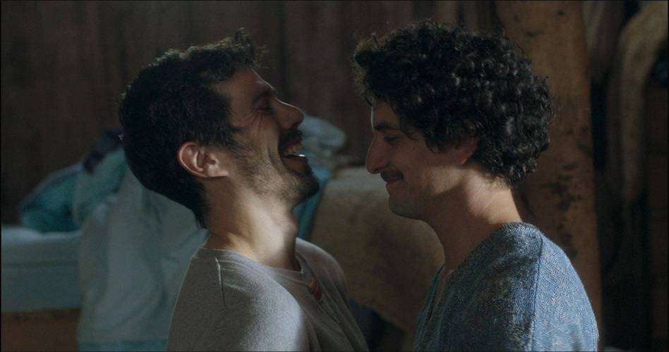 同志电影：探索男同性恋者的情感世界