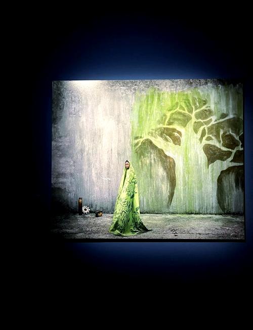 非洲女人与另类ZOz0：探索跨文化视角下的独特美学与艺术表达