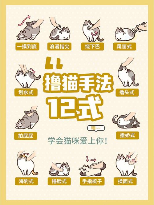 猫宅97如何提升好感值，猫宅97好感值提升攻略