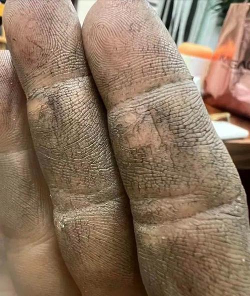 猫宅97，捡垃圾也能玩出新花样，解锁财富与乐趣