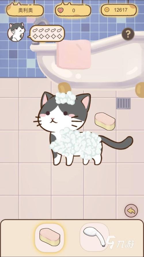 猫宅97萌新铲屎官必备知识汇总与游戏问题答案总结