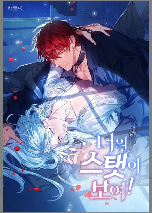 猫宅97，萌新铲屎官的奇幻养成之旅