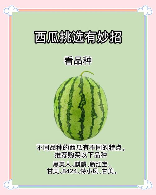 古代人生瓜农赚钱攻略大全，种西瓜赚钱方法分享