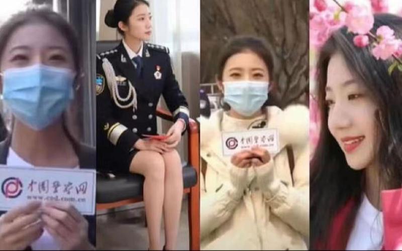 张津瑜吕知樾三部曲完整观看指南：在哪里可以找到并欣赏这部经典作品？