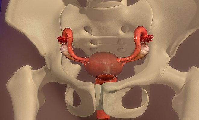 如何看待欧美性 55-60 这一年龄段的性观念和性行为？