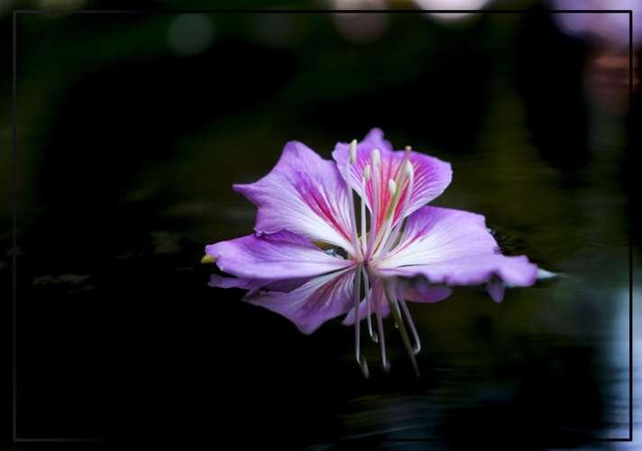 明日方舟最新紫色材料获取攻略，2020紫色材料掉落推荐