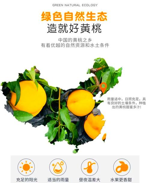 探索桃子植入的10000种黄油：从经典到创新的美味之旅，解锁黄油的多重魅力与实用技巧