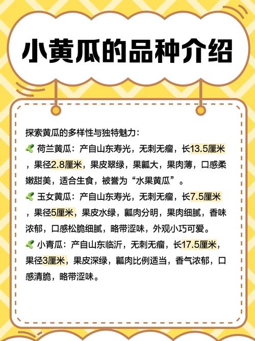 黄瓜地址永久免费获取方法：详细步骤与使用指南，轻松享受无限资源  黄瓜地址永久免费服务全面解析：如何安全高效地获取并长期使用  黄瓜地址永久免费使用教程：手把手教你快速获取并避免常见问题  黄瓜地址永久免费资源分享：最新获取渠道与使用技巧大揭秘  黄瓜地址永久免费体验攻略：从获取到使用的完整指南，助你畅享无阻