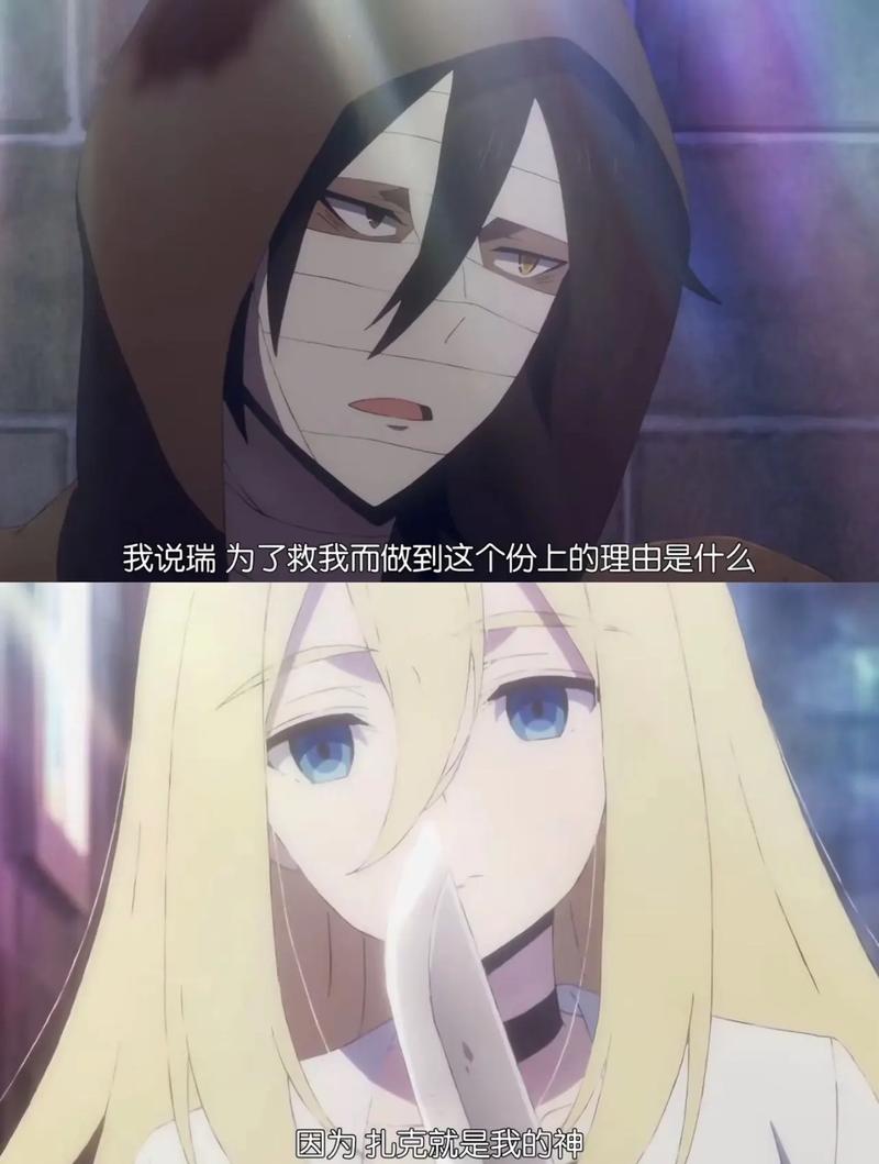 二次元人物扎克为何如此受欢迎？大家都想和他生猴子是怎么回事？