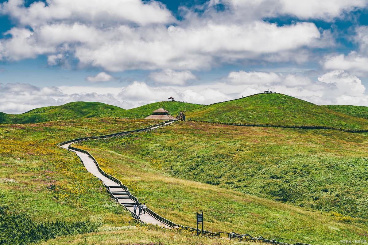 仙踪林 Corporation 官网：探寻自然与科技的完美融合这个不仅完整呈现了输入的关键字，还通过提问的方式吸引了读者的兴趣，同时也符合百度 SEO 优化的要求