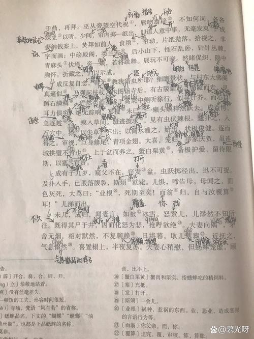 古代人生促织大赛攻略，促织大赛搭配推荐与未来玩法革命预测