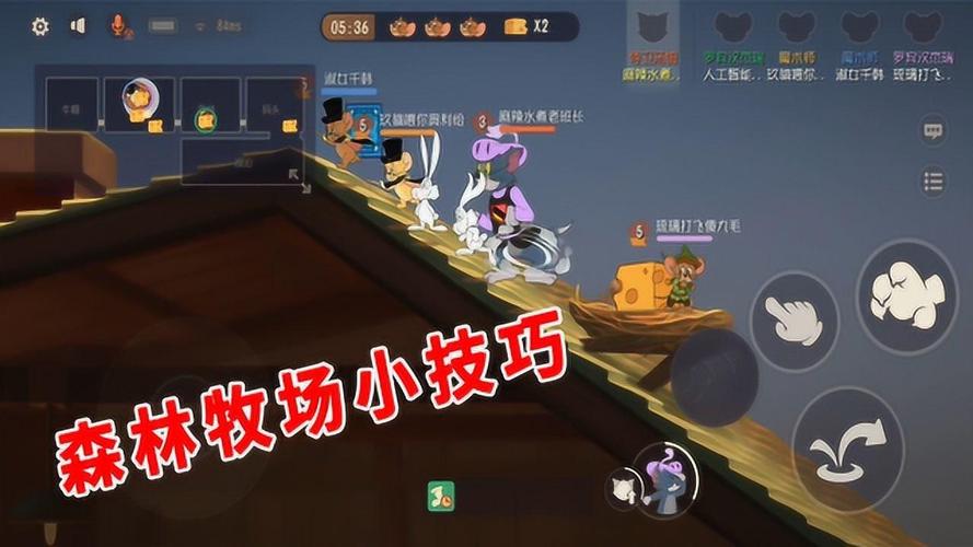 猫和老鼠手游森林牧场野花作用详解