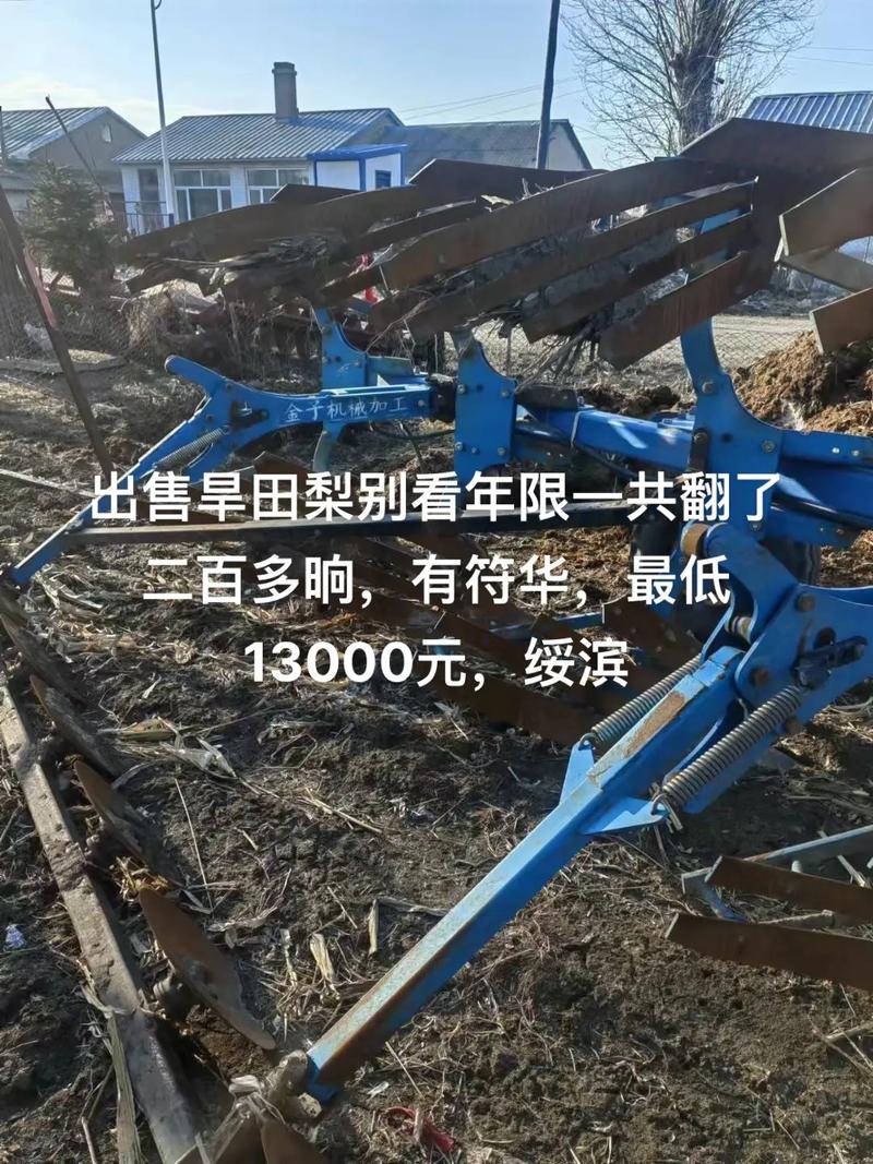 古代人生旱田种植攻略一览，旱田种植什么农作物最好