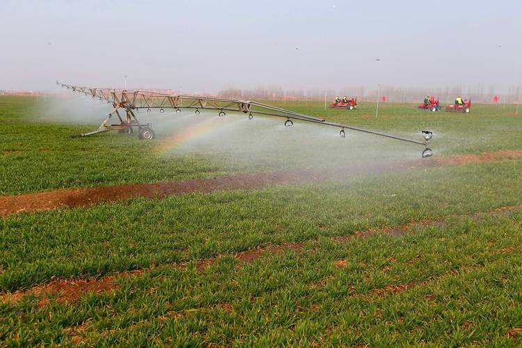 古代人生水田种植什么收益最好？水田种植收益一览及未来玩法革命预测
