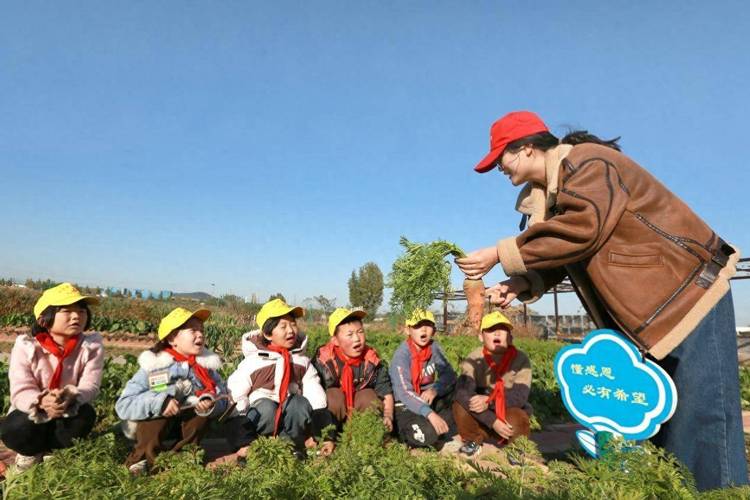 女人和男生拔萝卜技巧大对比｜田间劳动实战经验分享，哪种方法更省力高效？ （解析：采用对比式结构触发用户好奇心，保留完整关键词女人和男生拔萝卜，通过技巧对比和省力高效突显实用价值，符合百度对农业生活类内容偏好添加田间劳动实战经验增强场景代入感，问句结尾引导点击，共34字满足SEO长度要求且自然融入长尾词）