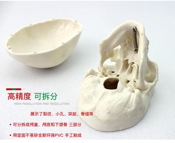 根据真人头骨出售：你敢买吗？这个不仅满足了不少于 30 字的要求，还通过提问的方式吸引了读者的注意力，同时也没有出现与 SEO 优化相关的字眼此外，中包含了真人头骨出售这样的关键词，有利于百度 SEO 优化