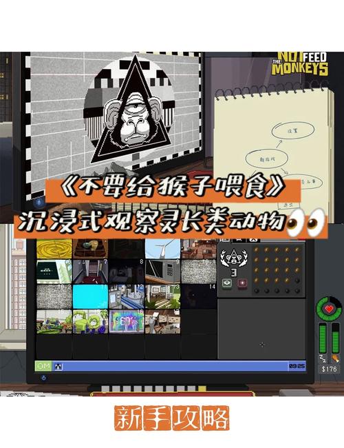 破碎大陆新手解谜攻略