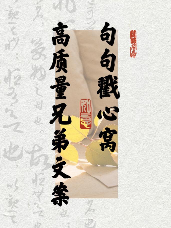 两兄弟感情好文案大揭秘：他们的情谊为何如此深厚？怎样的故事令人感动？