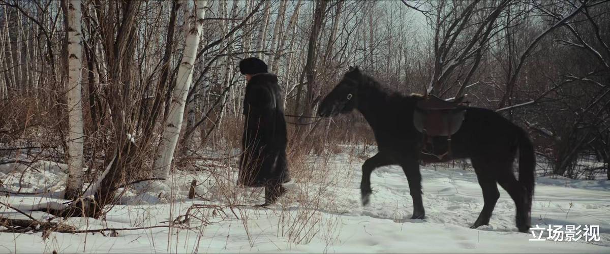 四虎影视在线观看：高清免费资源推荐，最新热门影片一网打尽，畅享极致观影体验