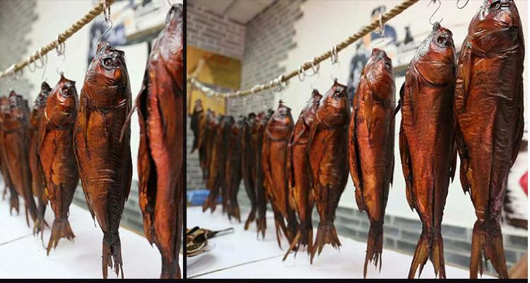 猫语咖啡钓鱼奇遇，香肠鱼、榴莲与彩虹鱼的梦幻捕捉指南