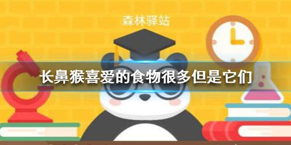 鲶鱼的味觉系统对什么更敏感？森林驿站1月14日森林小课堂今日答案揭秘