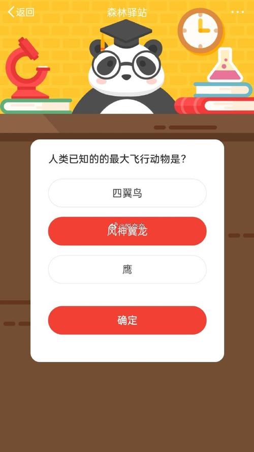 森林驿站揭秘，1月8日小课堂，谁才是森林中的飞毛腿？