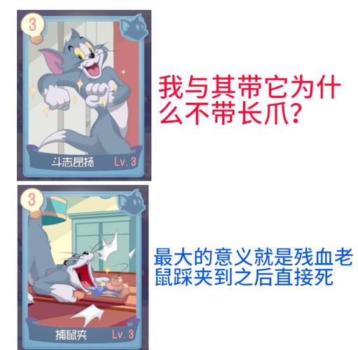 猫和老鼠B级知识卡玩法解析，策略与乐趣的深度碰撞