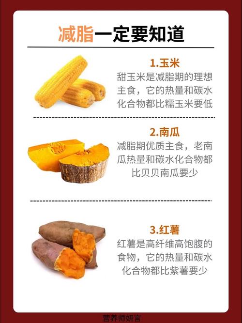 活下去食物怎么种？食物种植及食品合成攻略大全