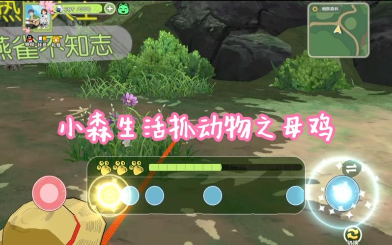 小森生活朝晖之森动物刷新地点与捕捉技巧的深度解析