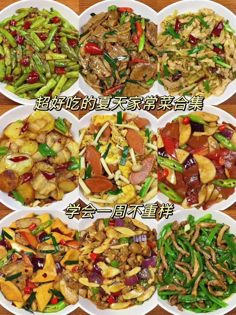 【我的侠客菜肴食谱分享】超实用家常菜谱推荐，厨艺小白也能轻松驾驭！