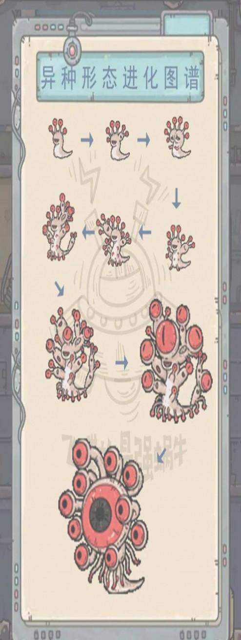 最强蜗牛进化顺序推荐：从新手到大神的超详细养成攻略！