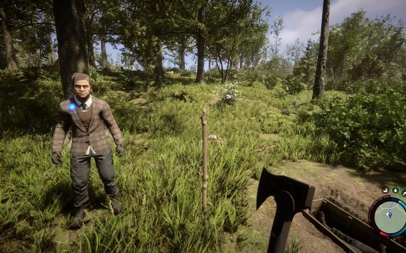 森林stem价格大揭秘！正版游戏多少钱？玩家必看攻略