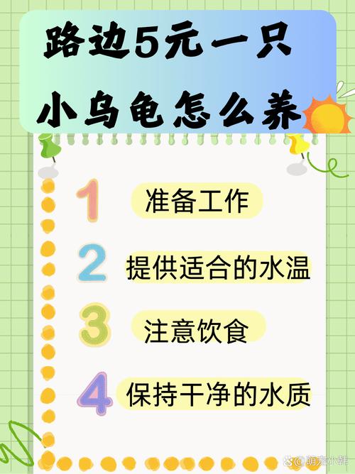 魔法5级龟饲养秘籍！必看的成长食谱与进阶技巧