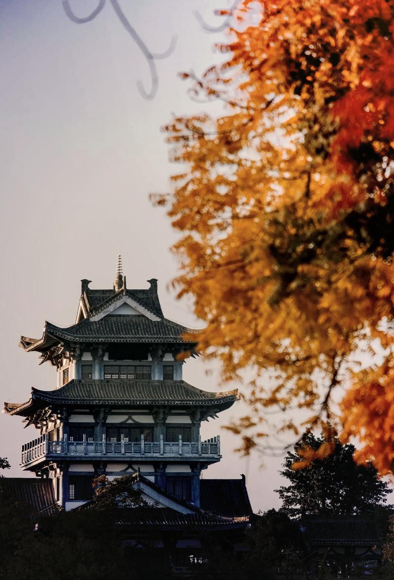 春潮烂漫海棠红！这份绝美秘境为何让人一见倾心？