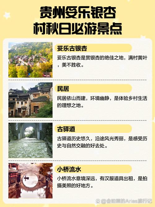 绝美银杏村&山谷位置大揭秘！这份攻略让你打卡不用愁！