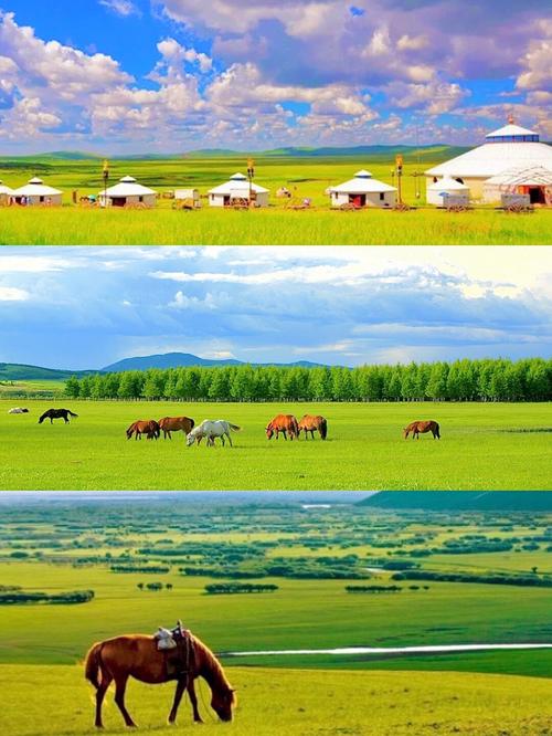 无人区骑马BGM致死旋律！沙漠深处的马蹄声正在预言末日——它究竟在诉说什么？