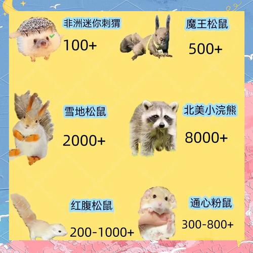 爆哭推荐！猎苑夺宠必出稀有宠物技巧公开，萌新也能轻松抱走神宠！