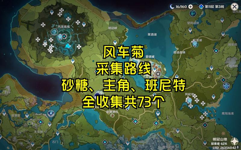 原神风车菊必看！绝美采集路线+隐藏点位全解锁