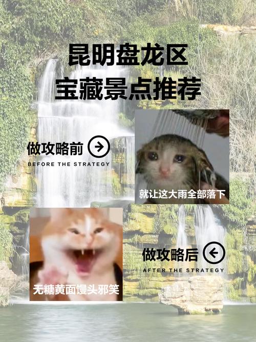 宝藏世界龙台打卡攻略！这5个隐藏技巧让你尖叫！