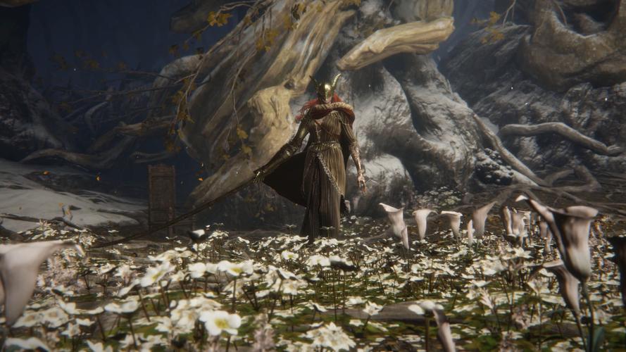 艾尔登法环4K配置暴击！这波眼泪直接赚回来了