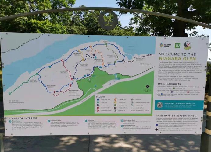 闭眼拿冠军！果汁瀑布跑酷路线速成指南